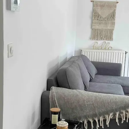 Charmant T3 Moderne Climatise Villeurbanne Exterior foto