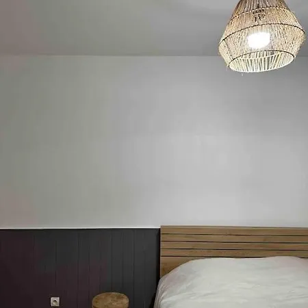 Charmant T3 Moderne Climatise Villeurbanne Exterior foto