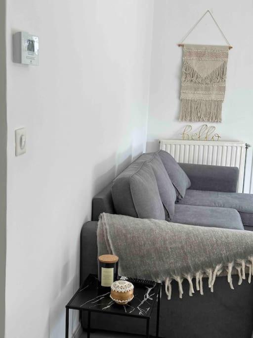 T3 Moderne Climatise Appartement