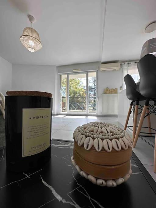 T3 Moderne Climatise Appartement Villeurbanne